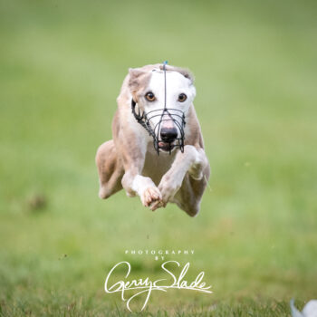 Gerry Slade Event Photography